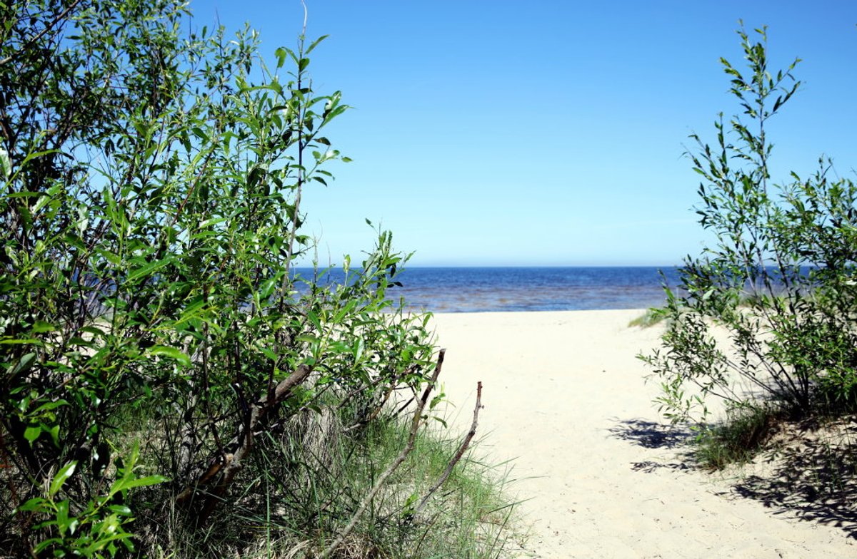 Ventspils pludmalē izskalots naftas piesārņojums