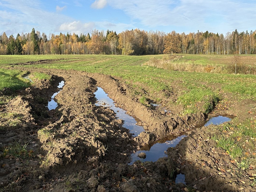 Kurzemes lauksaimnieki ziņo par rekordlielu mitrumu un neapstrādātu laukiem